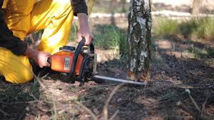 Lawn Grading and Leveling in Helena Valley Southeast, MT